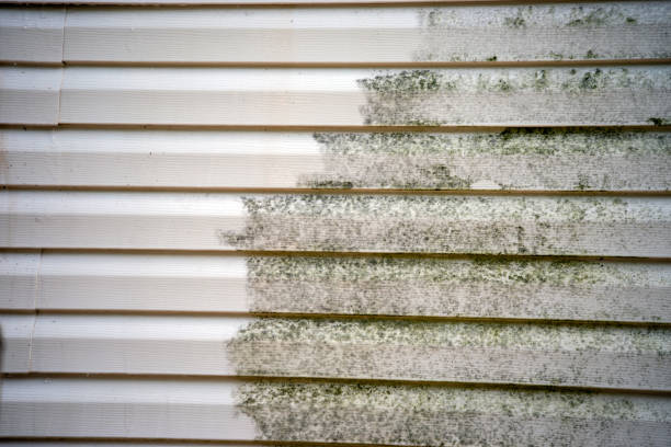 Affordable Siding Repair and Maintenance Services in Cambria, IL