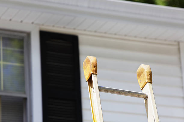 Best Fascia and Soffit Installation  in Cambria, IL